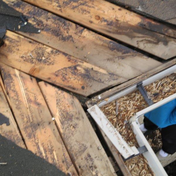Lethbridge Roof Repair Exteriors by Leroy and Darcy