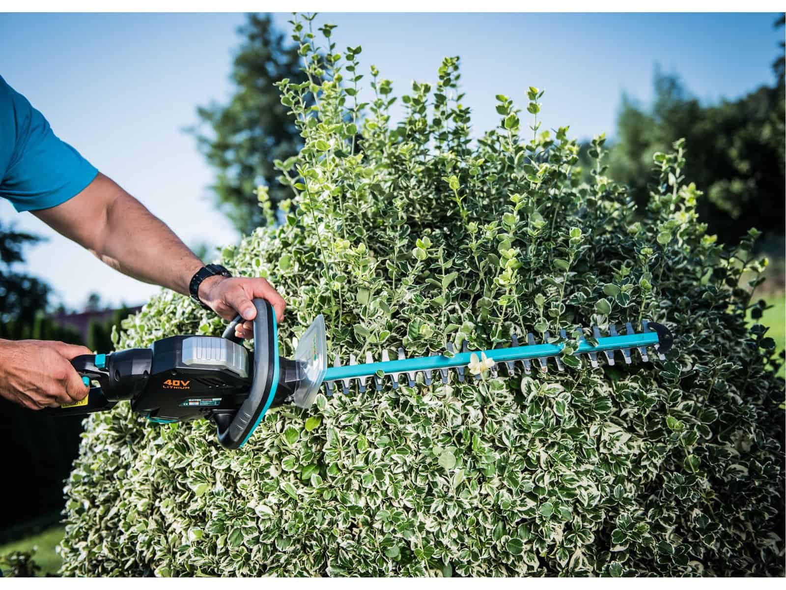 Wholesale Battery Operated Hedge Trimmer Supplier EXTOL