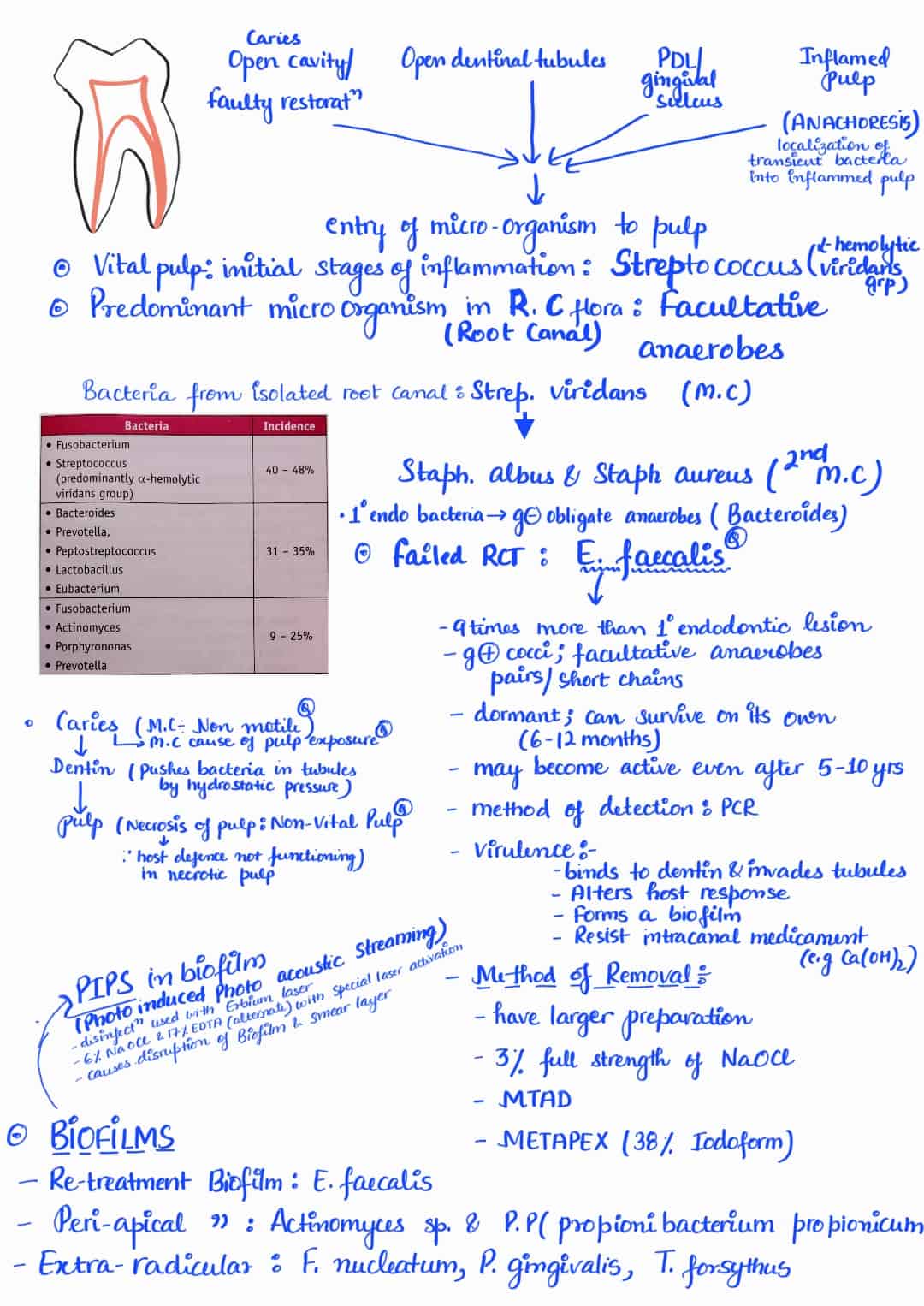 Endodontics notes extooth