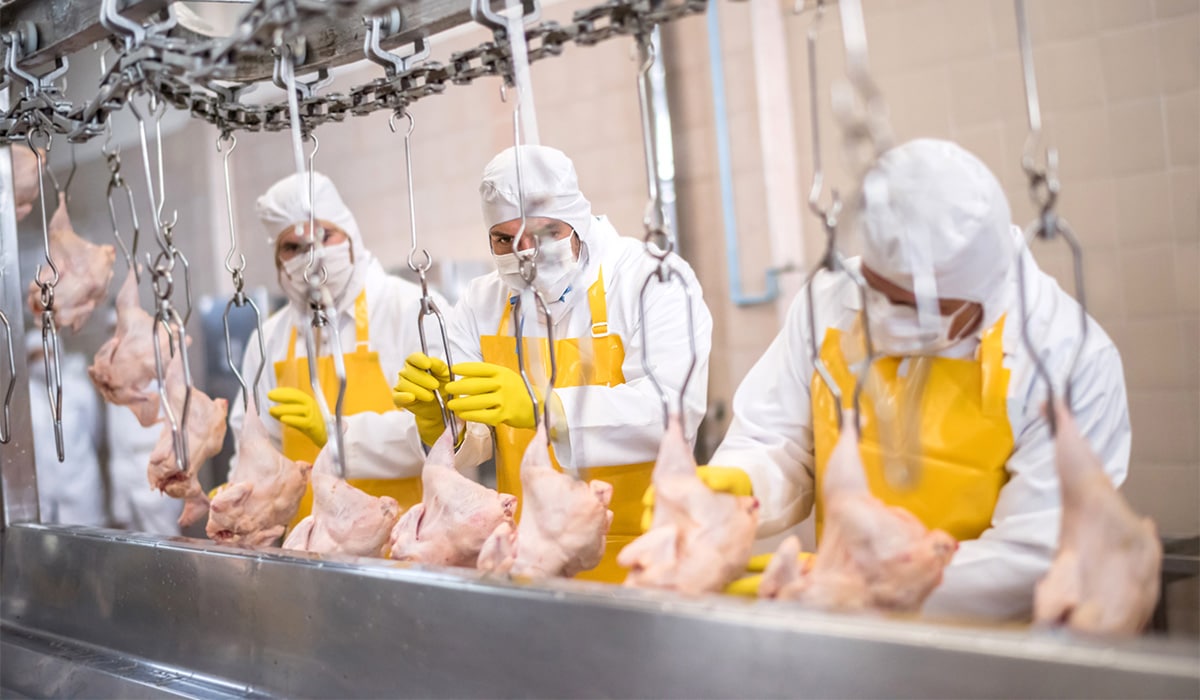 Did air conditioning help spread of COVID19 in meat factories? Extra.ie