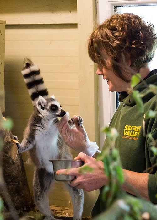 'We need help' Wexford Wildlife park appeals for help with food and shelter for animals Extra.ie