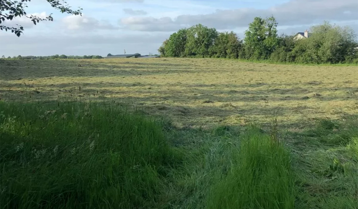 Build on this 1.5 acre site for less than a second hand home Extra.ie