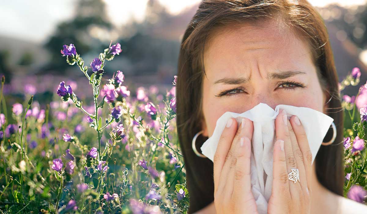 The best flowers for hayfever sufferers as pollen's reign of terror