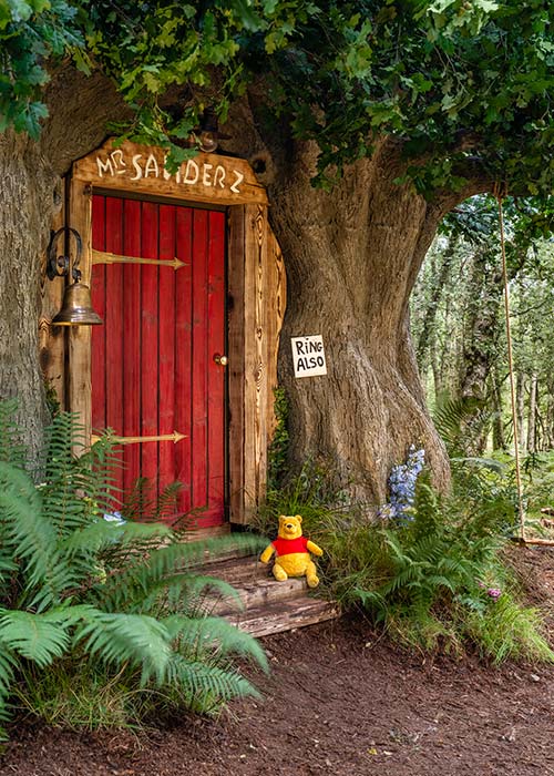 Bearbnb Winnie the Pooh inspired house in the Hundred Acre Wood available to rent Extra.ie