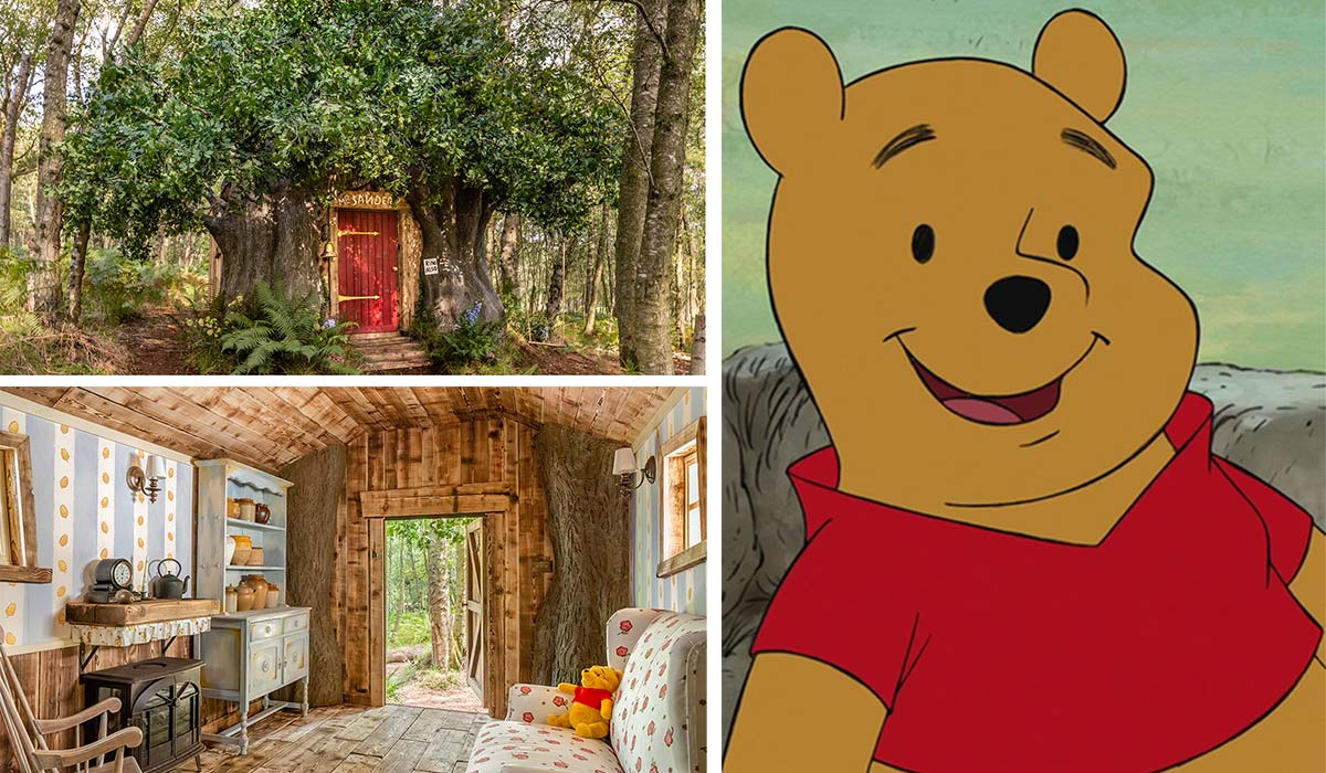 Bearbnb Winnie the Pooh inspired house in the Hundred Acre Wood