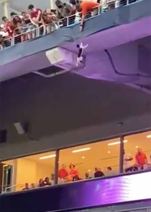 Shocking moment cat falls from stands and is saved by quickthinking