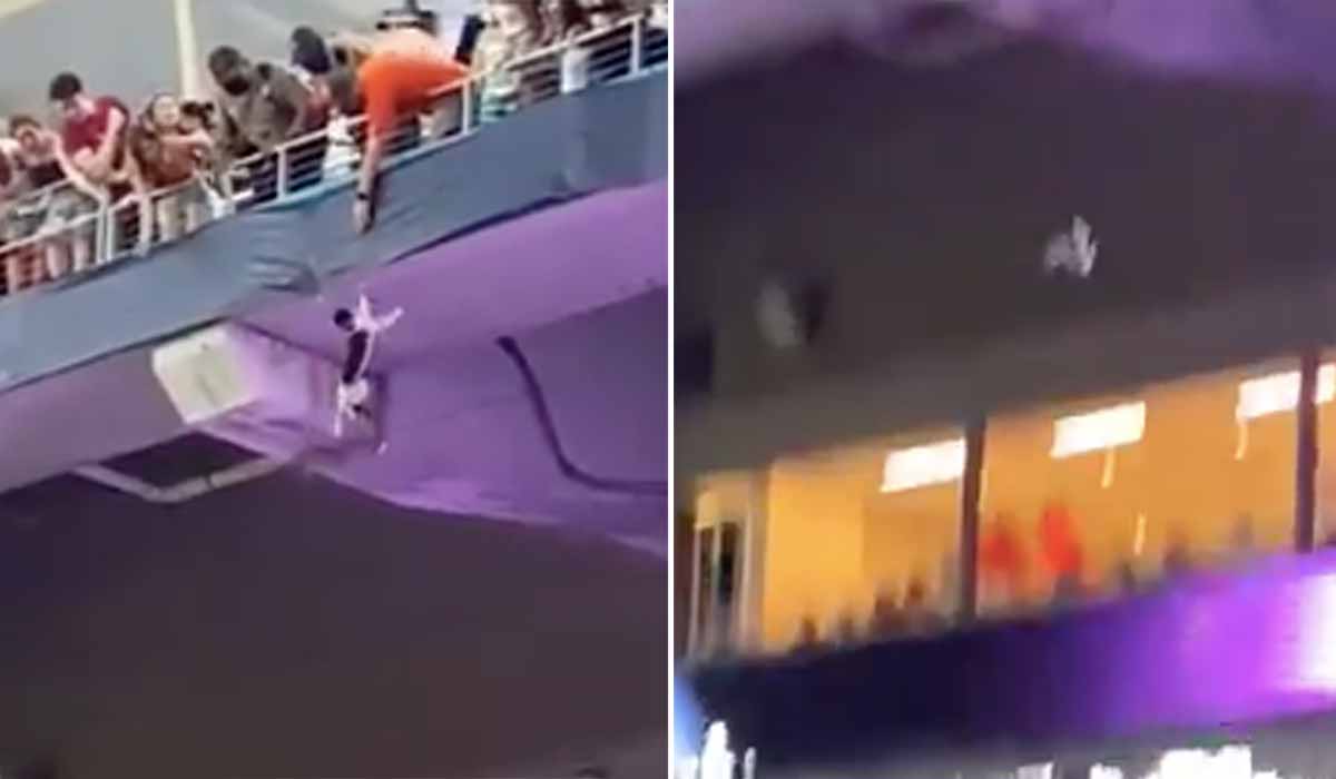 Shocking moment cat falls from stands and is saved by quickthinking