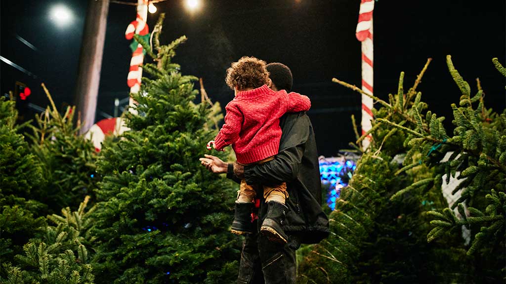 DCC To Offer Christmas Tree Recycling Service Around Dublin