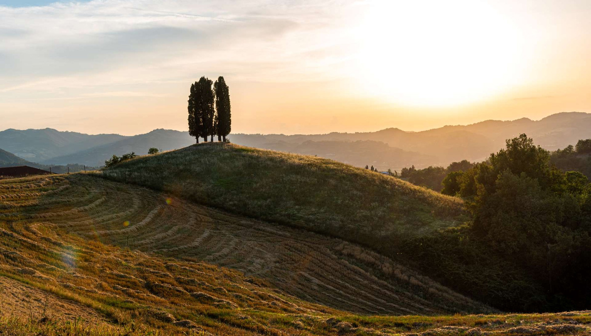 Bologna Bike Tour UNESCO Porticoes special eXtraBO