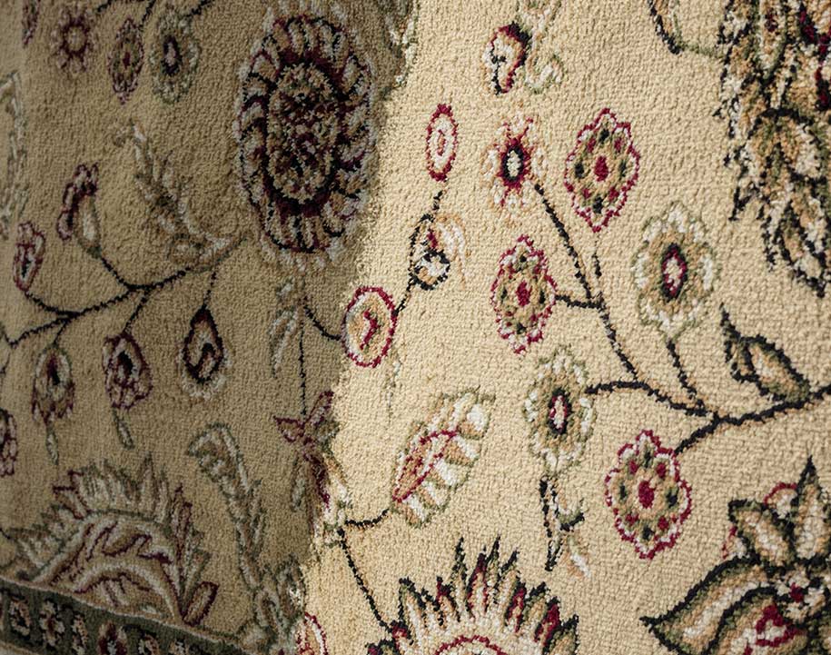 Orlando Carpet Cleaning Services Restore Your Floors