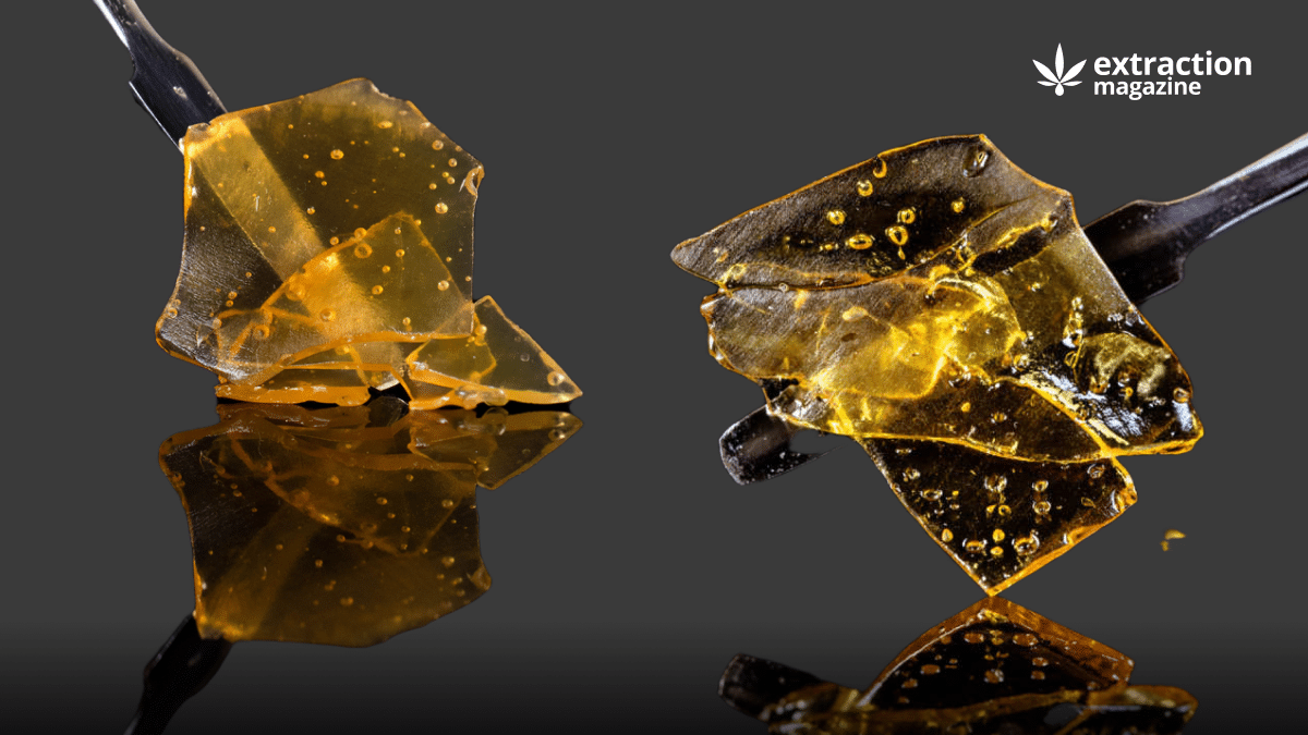 The Side Effects Of Butane Hash Oil Extraction Magazine