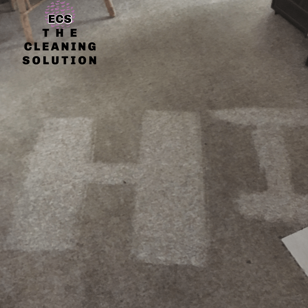 Professional Carpet Cleaning Lake Tahoe Ec Services Tile Upholstery