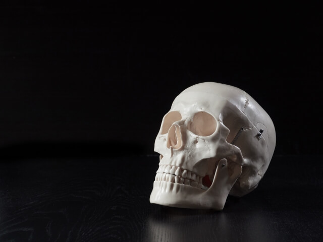 鶴鳴堂 江戸 明治時代 マンモス彫 名匠 古山 百足しゃれこうべ彫り根付 提げ物 細密彫刻 根付 緒締玉 古美味 時代物 古董品 1218-53(根付)｜売買されたオークション情報、Yahooの商品情報をアーカイブ公開 - オークファン（Aucfan.com） しゃれこうべは何故｢髑髏｣～意味と語源と漢字のおぼえ方 | Extraordinary.cloud