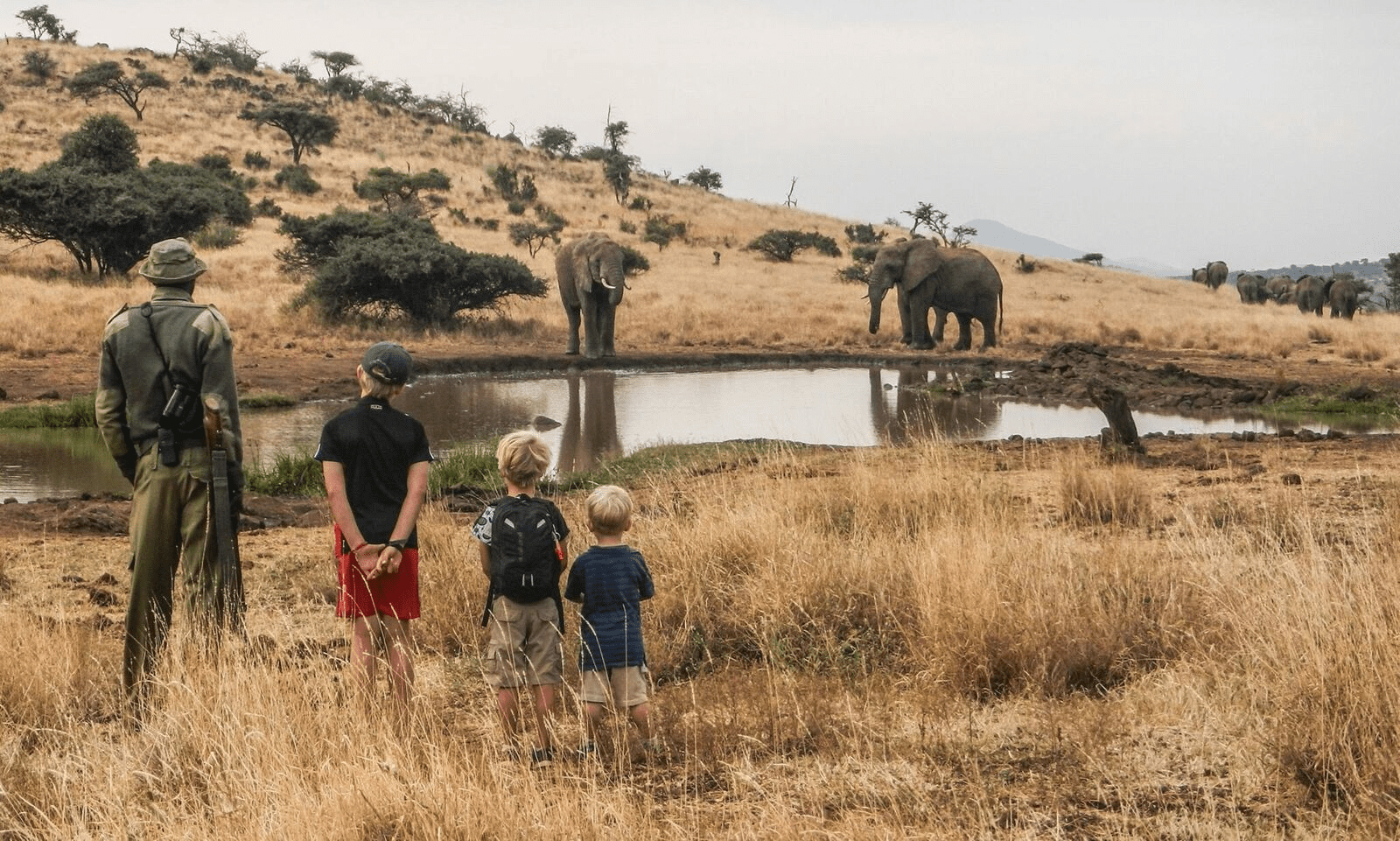 Safari With Kids & Families The Best Destinations Extraordinary Journey