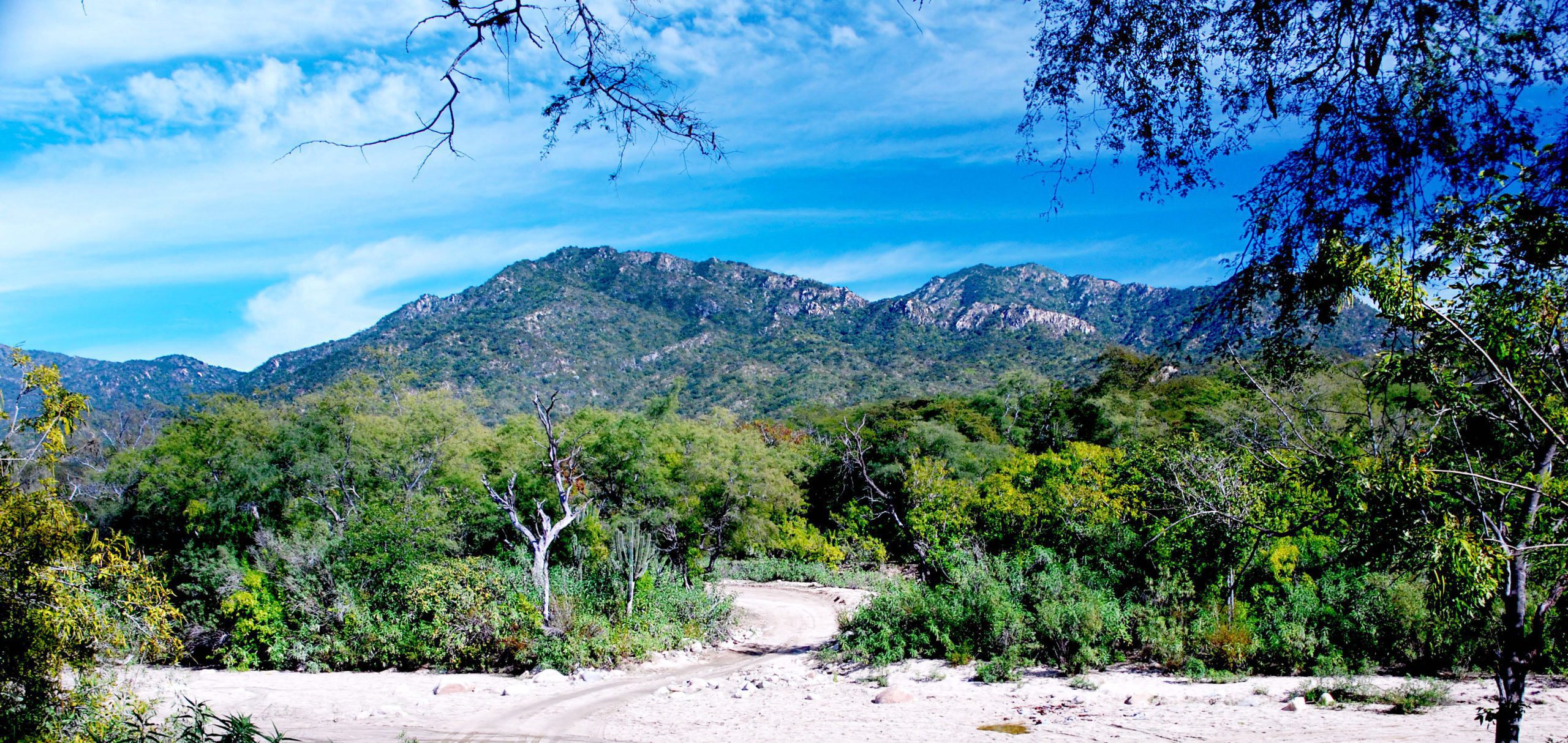 Sierra La Laguna Tours & Activities Extraordinary Journeys