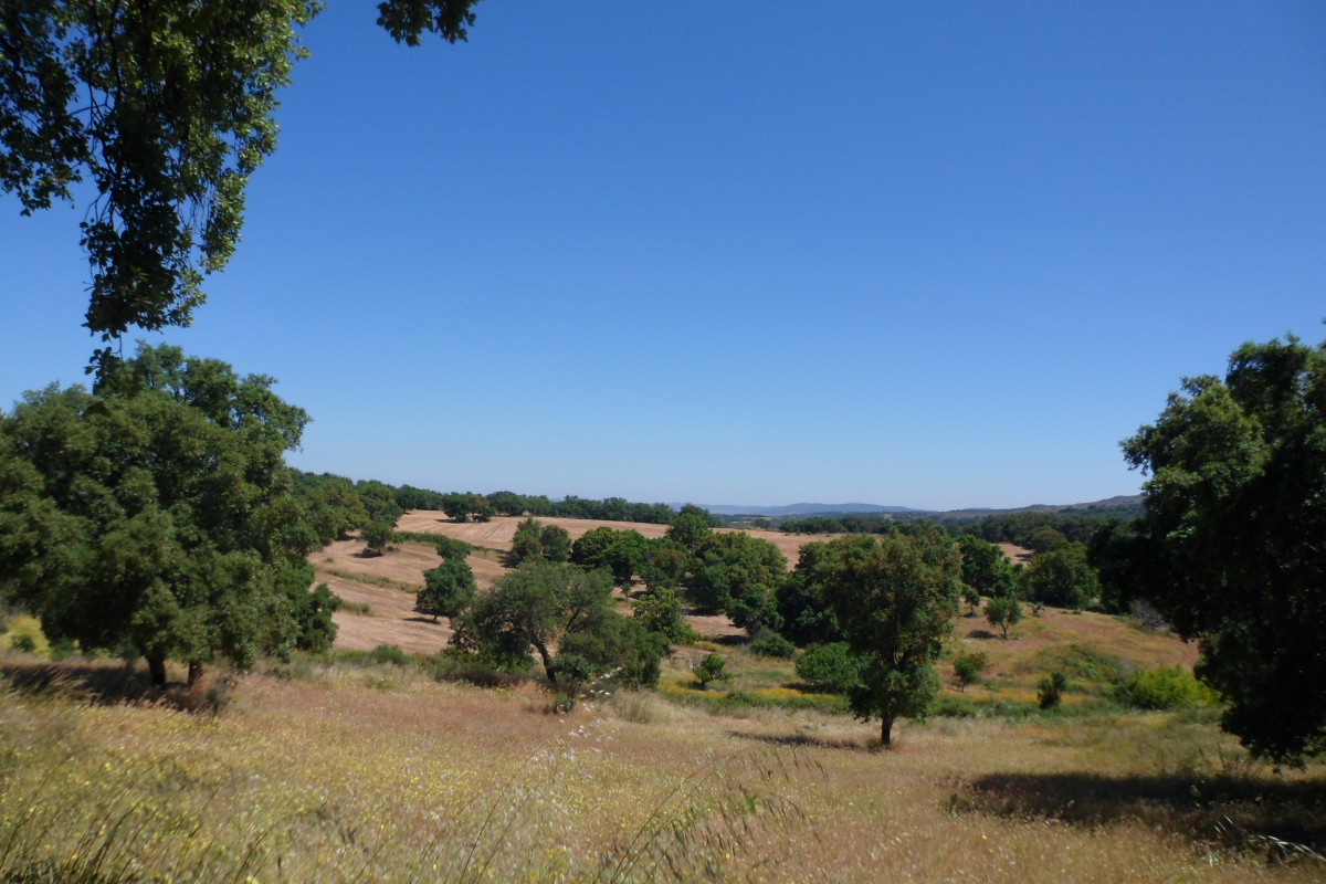 Valencia de Alcántara ExtremaCasa
