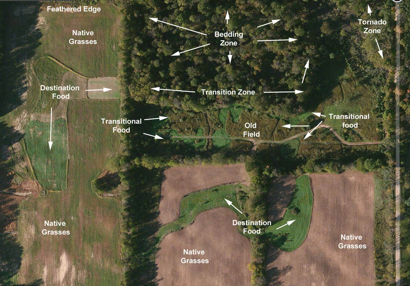 EDH Property for Sale Extreme Deer Habitat