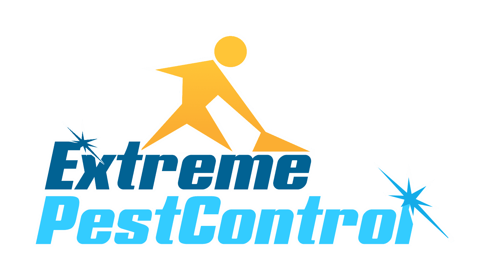 Professional Cape Town Ant control