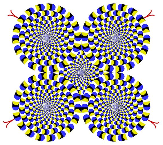 Animals and optical illusions Eyecon Optical Illusions