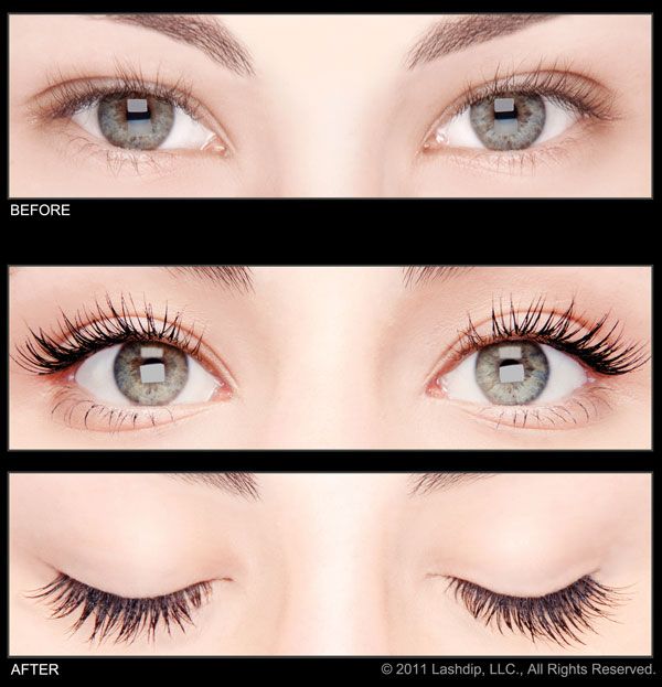 Professional LashDip Application in New York Perfect Eyelashes