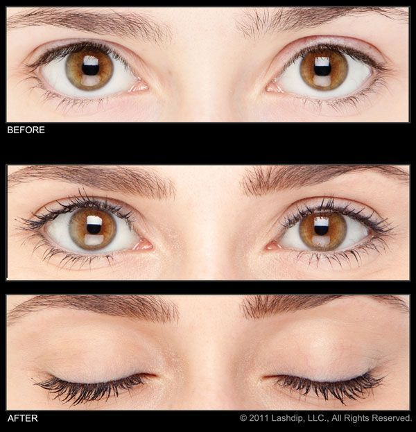 Professional LashDip Application in New York Perfect Eyelashes