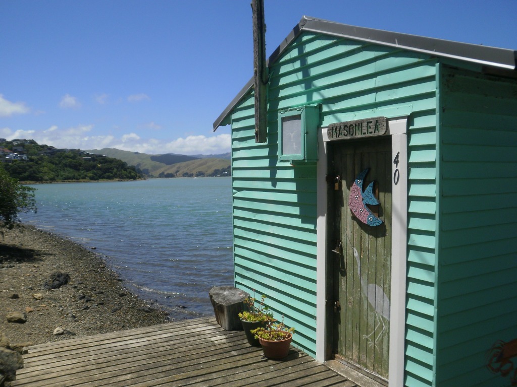 Life without cars… or maybe a boat? Eye of the Fish