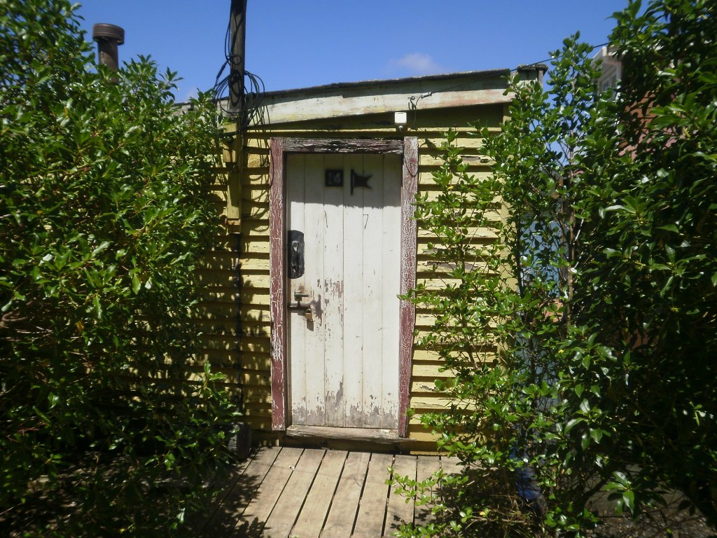 Life without cars… or maybe a boat? Eye of the Fish