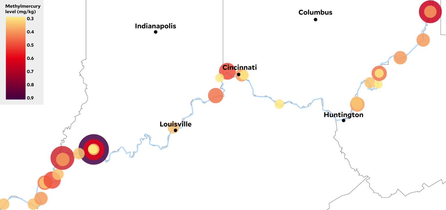 Toxic Mercury Remediation in the Ohio River Hampered by Complicated