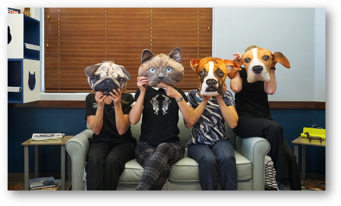 Meet the Team » Eyeshine Vet Animal Eye Care & Opthamology Clinic