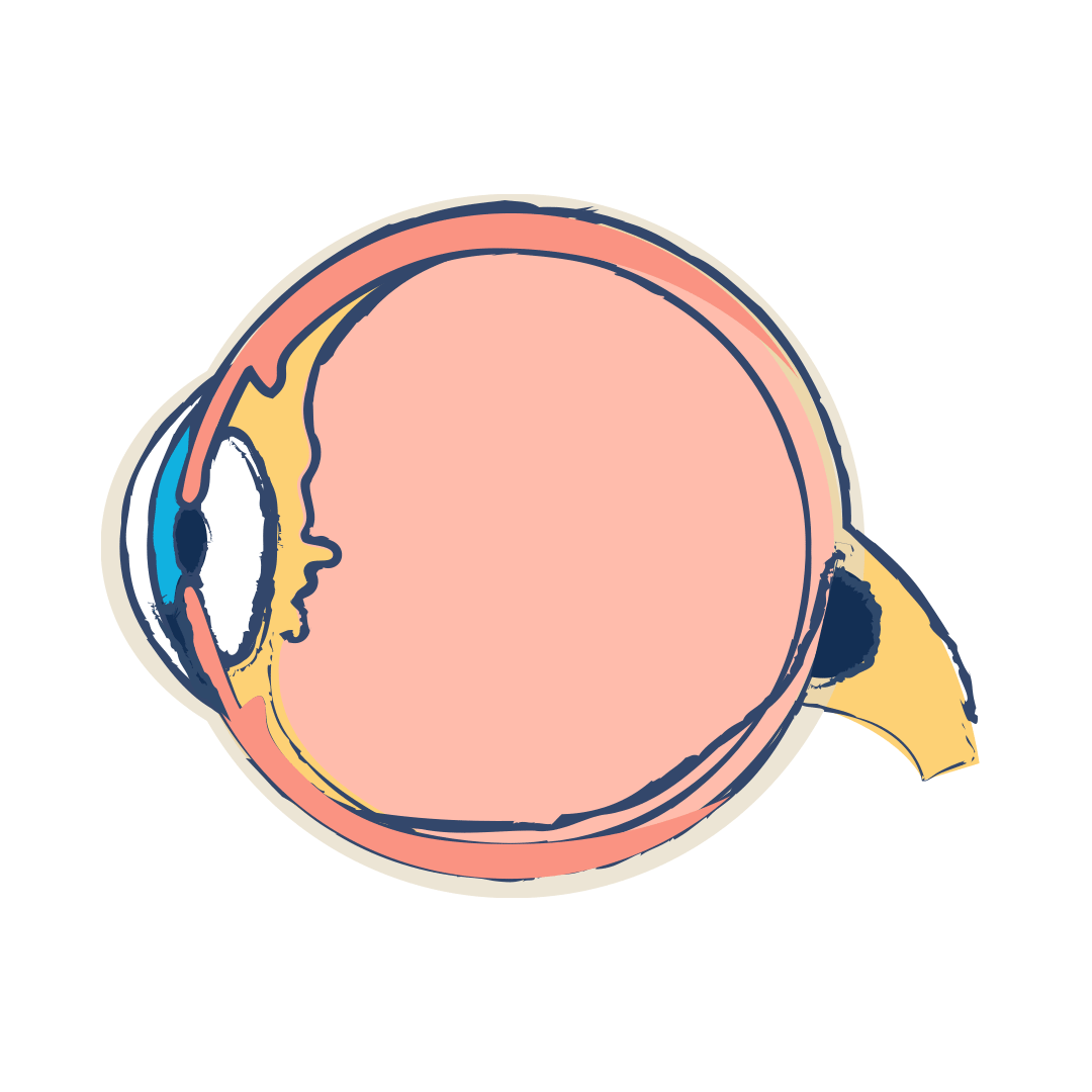Eyetas Pharmaceutical grade fish oil eye treatment that improves vision