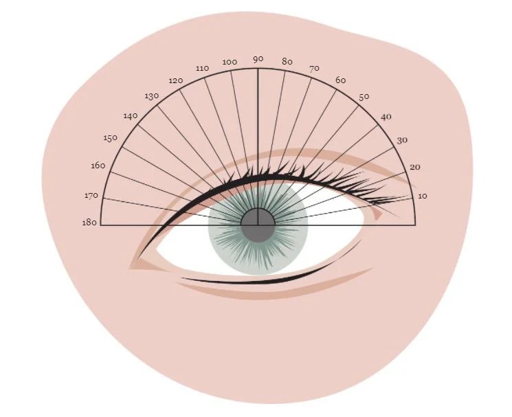 How To Read Your Prescription Knowledge Center Payne