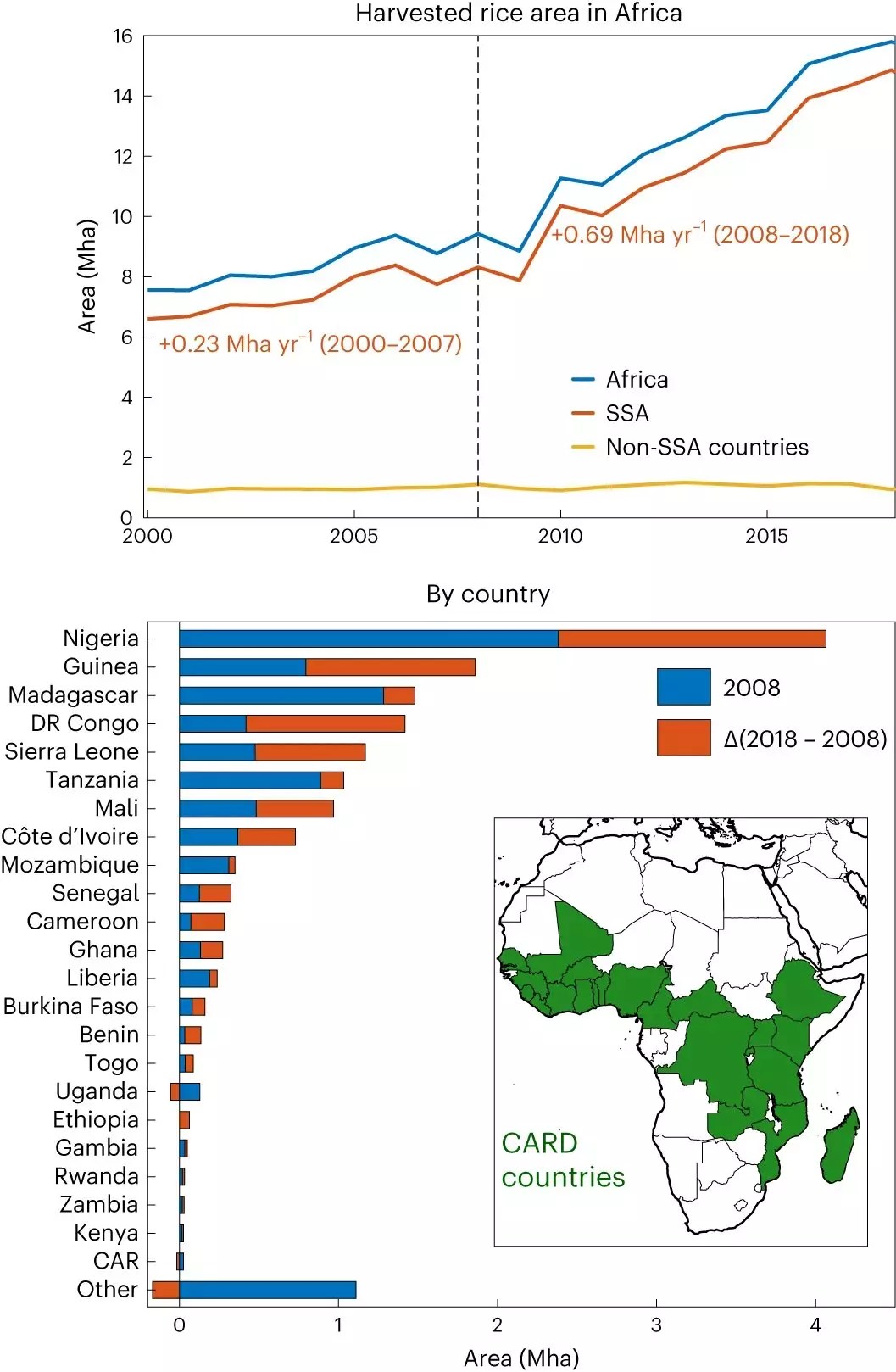 The Environmental Impact of Rice Farming in Africa Science Finest
