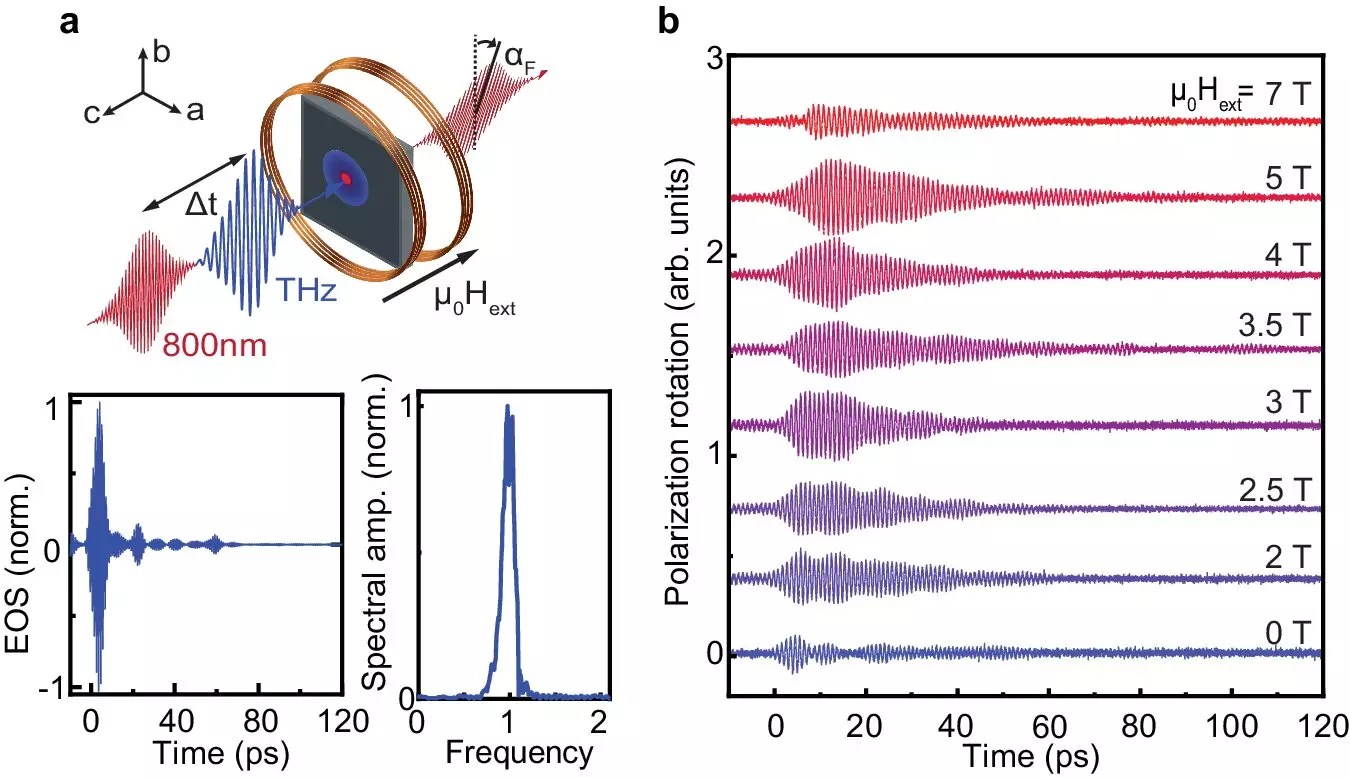 The Revolutionary Shift in Data Storage: Harnessing Antiferromagnetism for a Greener Future
