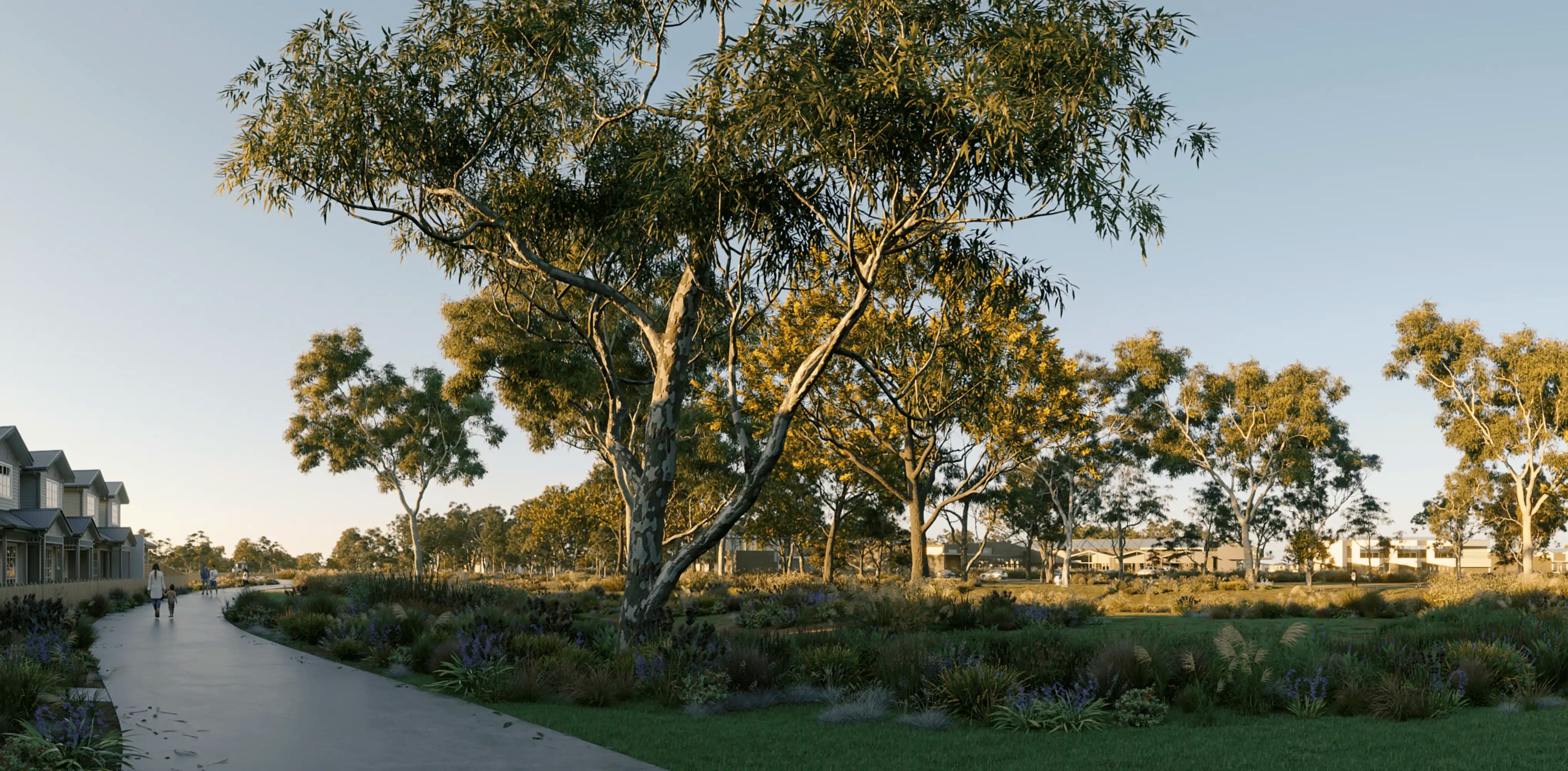 Wetlands & Walking Eynesbury