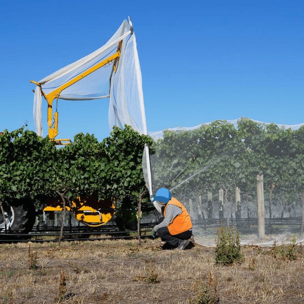 Fruit Tree Netting Protect Your Fruits and Crops EYOUAGRO