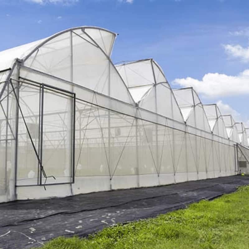 50 Mesh Insect Net Block Thrips & Leaf Miners EYOUAGRO