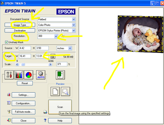 Photo Scanning Basics EZ Canvas
