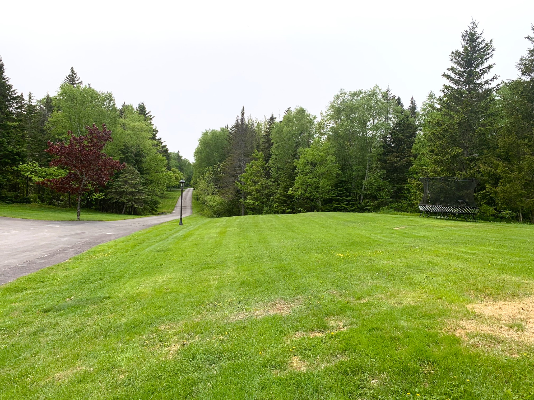 EXCLUSIVE LISTING 19 Balsam Drive, Humber Village Margaret Budgell