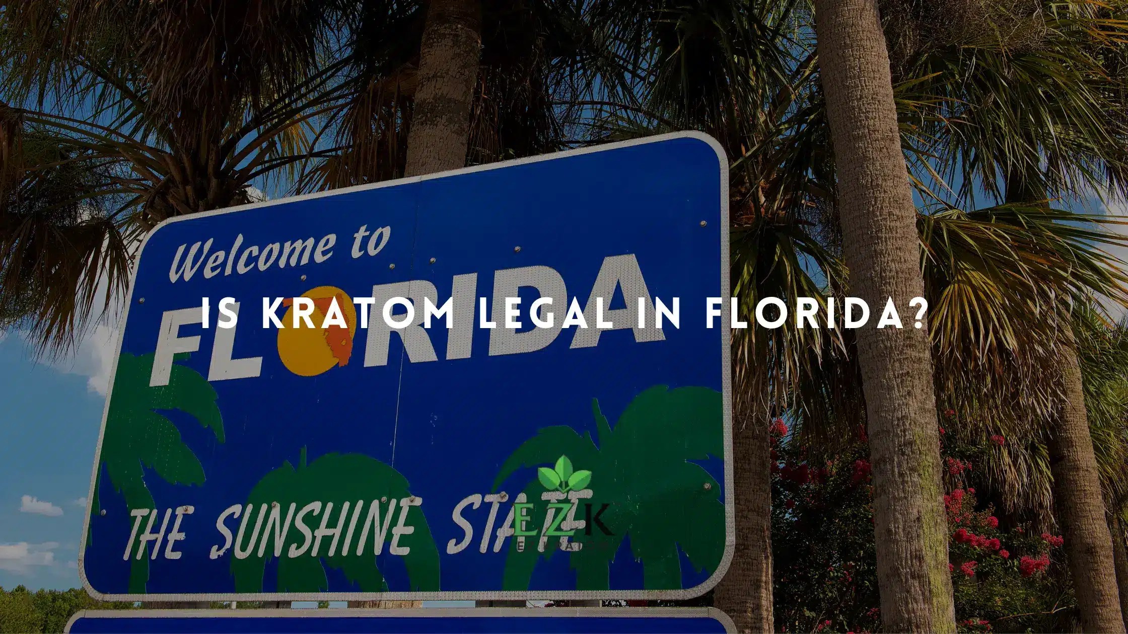 Is Kratom Legal in Florida? EZ Kratom Wholesale
