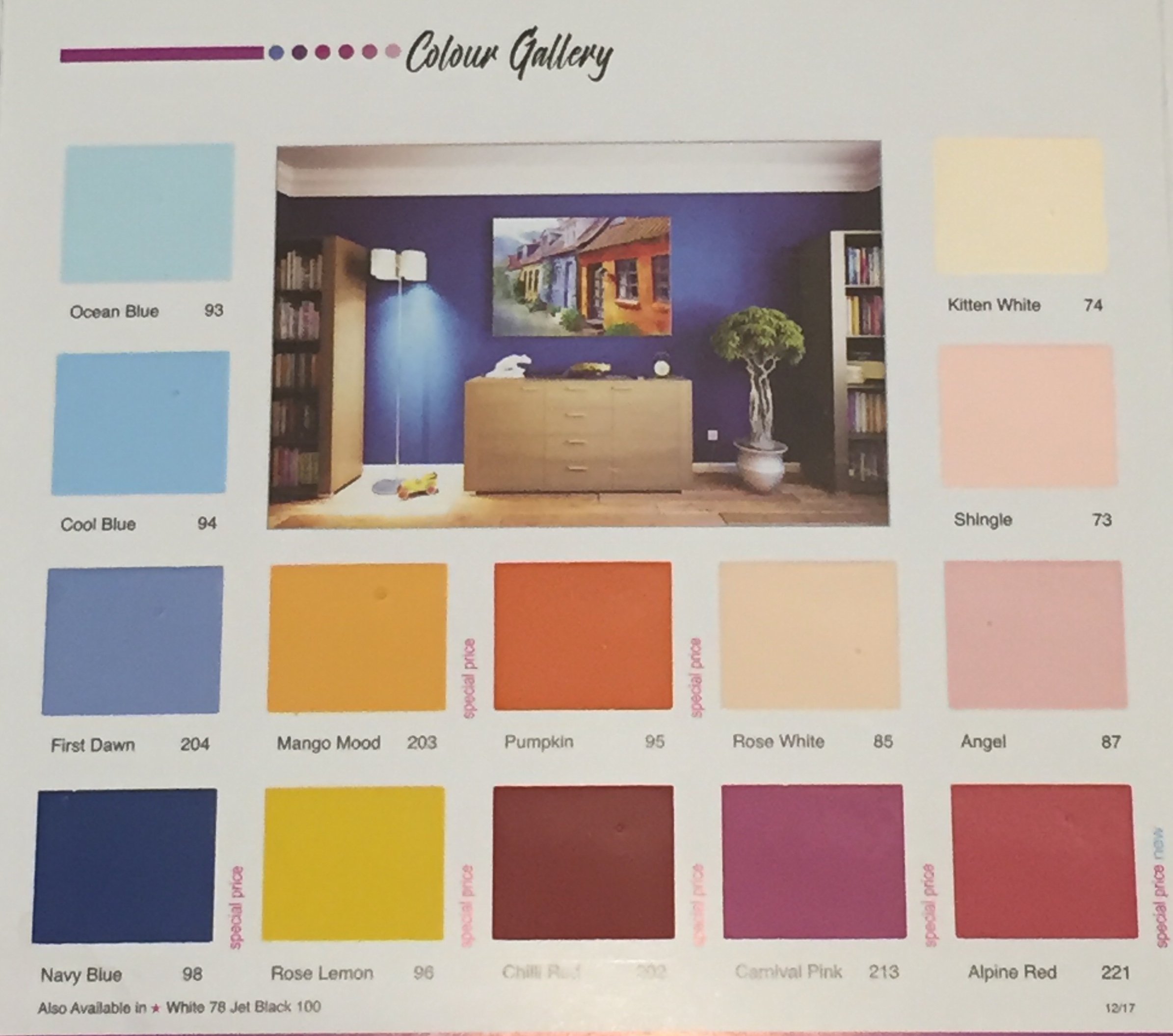 NELSON MATT FINISH ENAMEL (Gallon size) EZMakaan