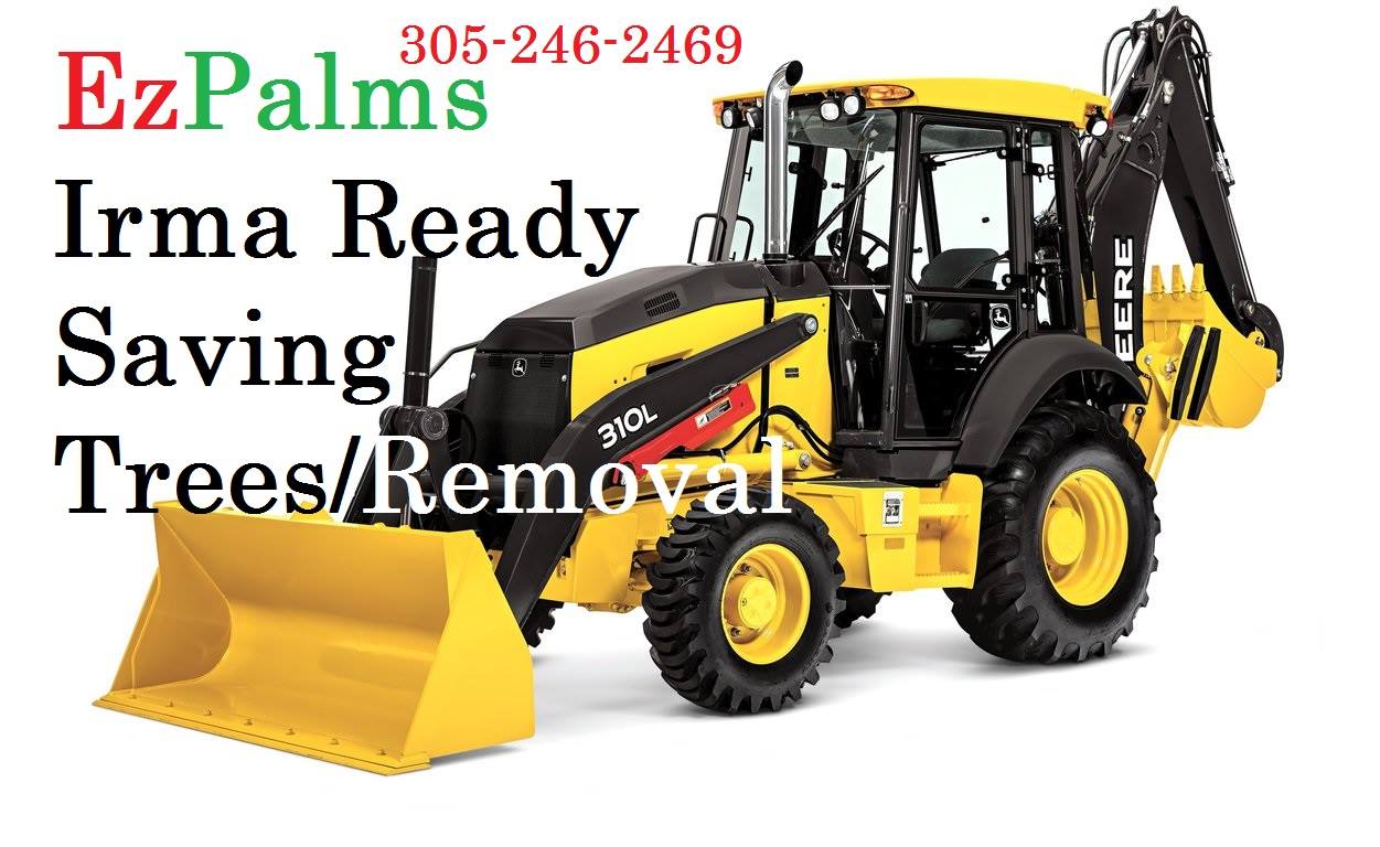 Tree Service Palm trees, tropical plants, foliage, wholesale, growers