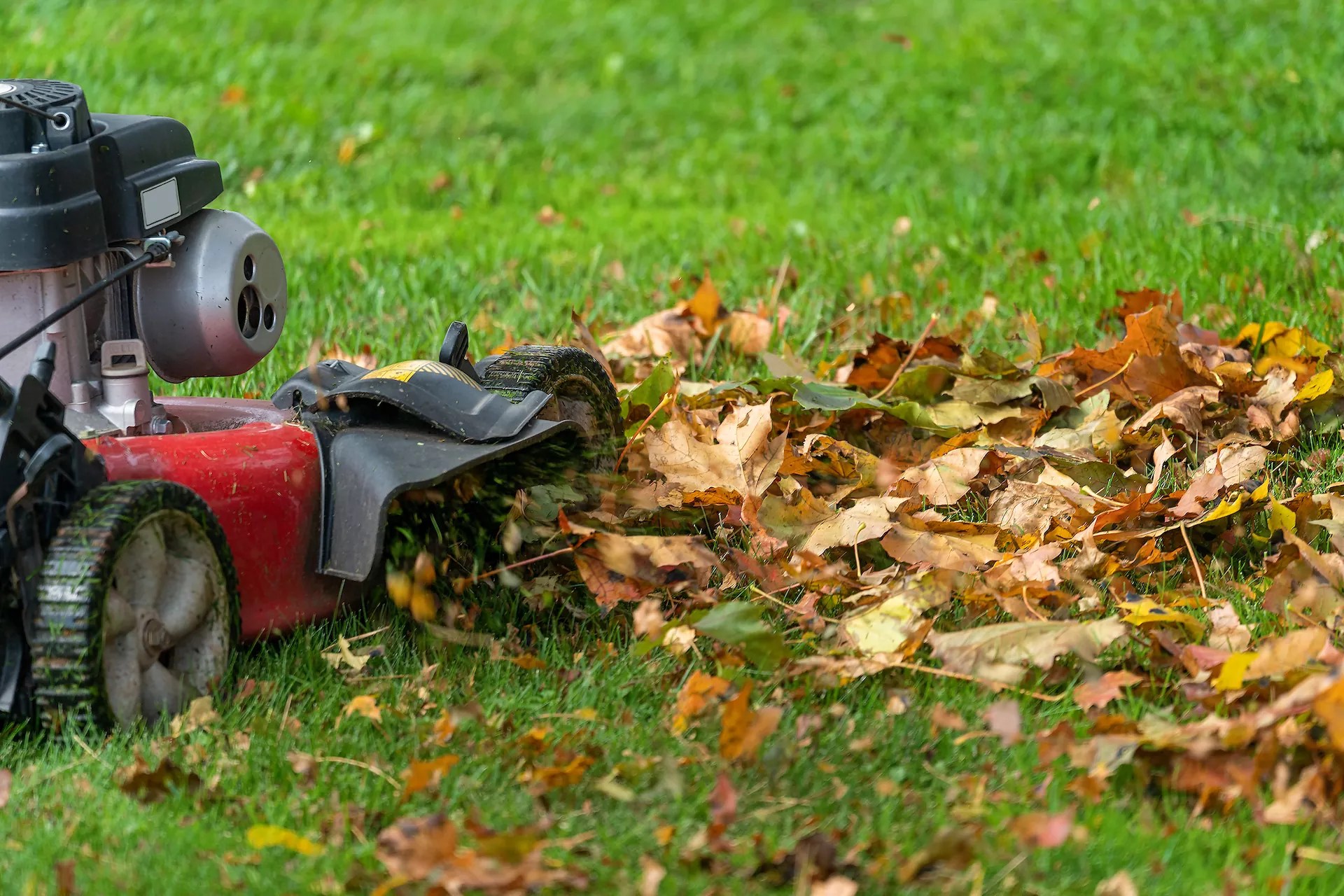 5 Ways to Prep Your Yard for Fall EZPOUR