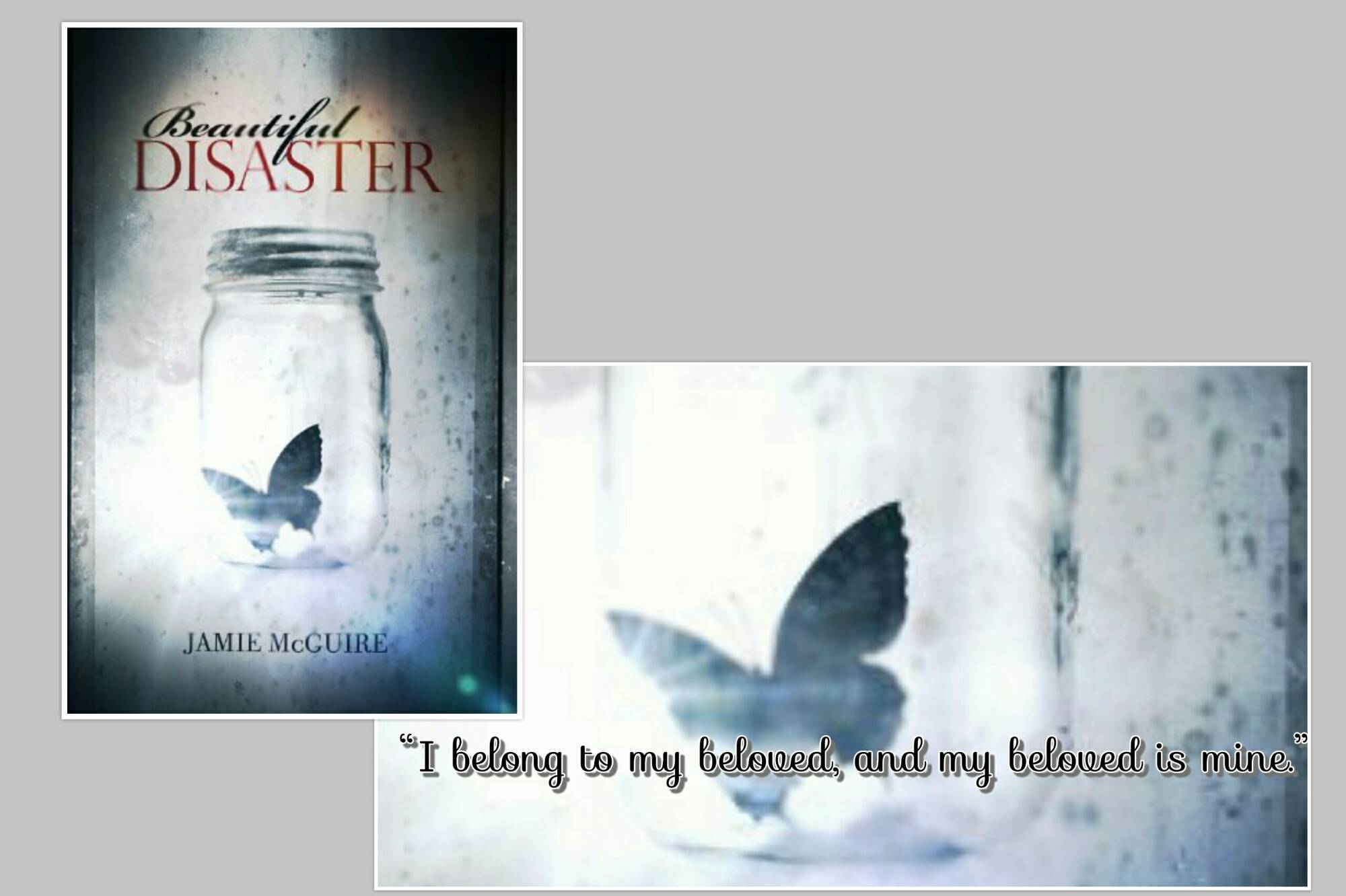 Beautiful Disaster Read Online, Pdf Download Free, Epub & VK!