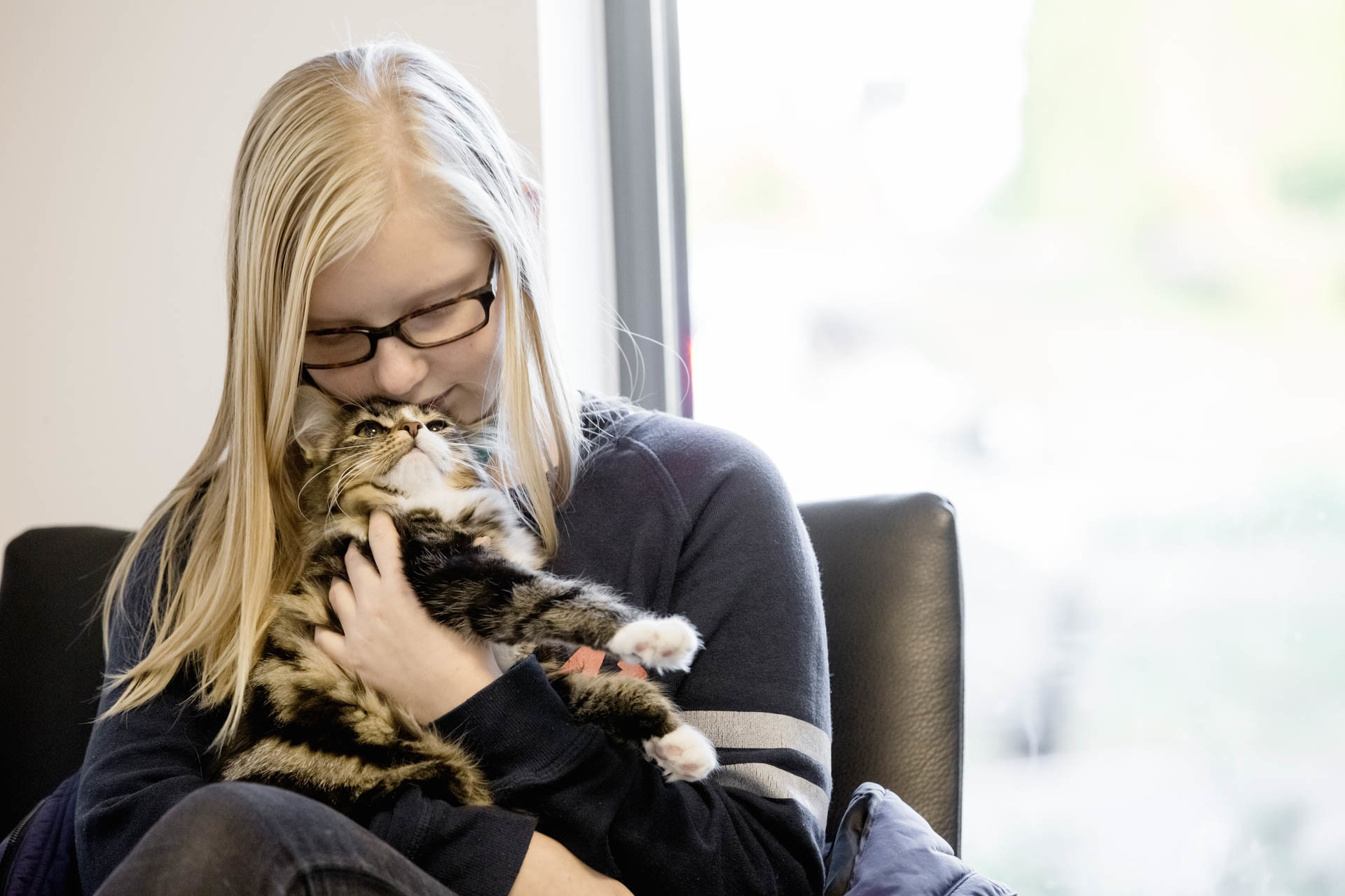 Behandling av katt Fredrikstad Dyrehospital