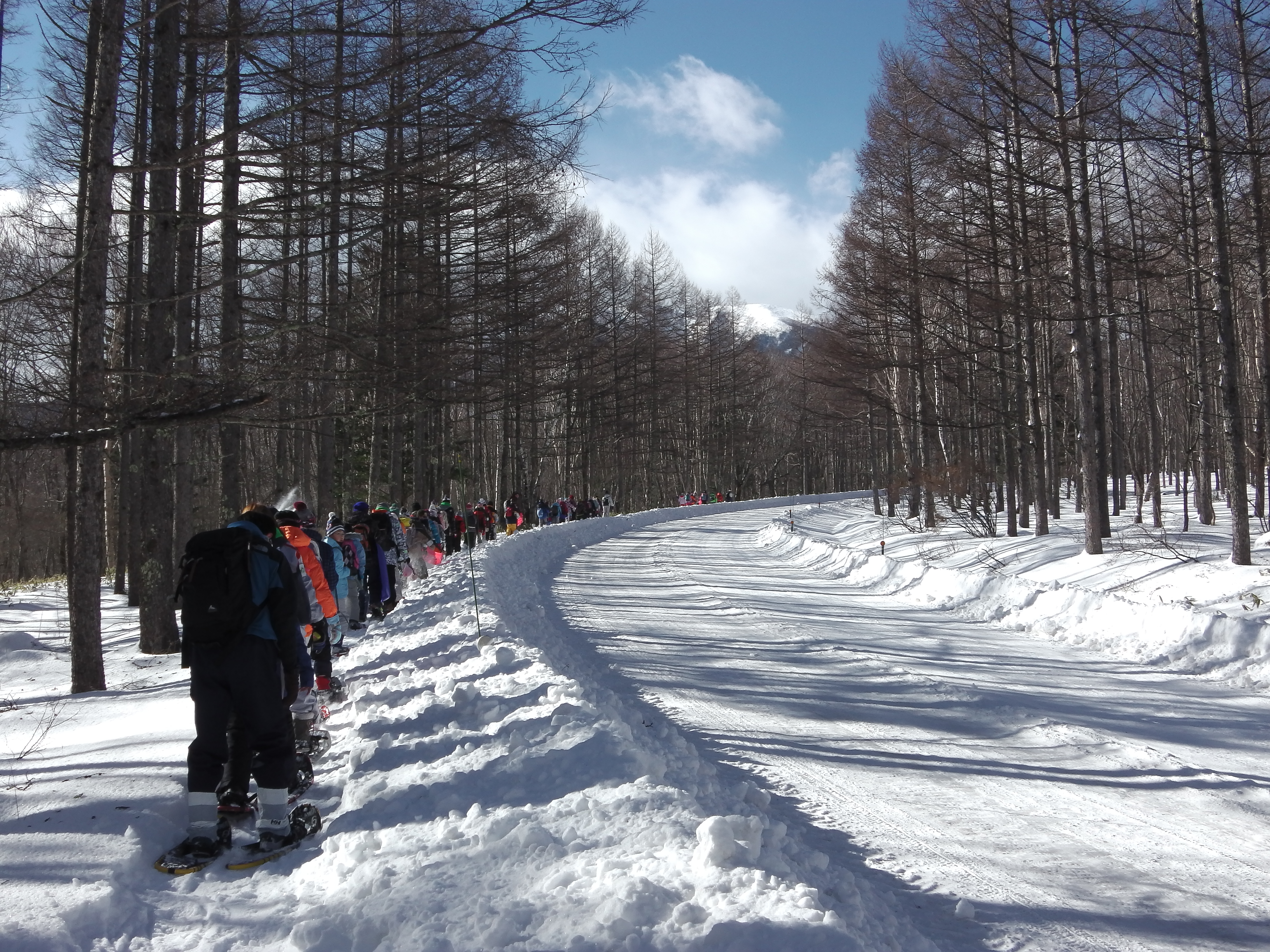 平成29年度 自然ふれあい教室～雪ん子大作戦～ 参加者募集 - 公益財団 