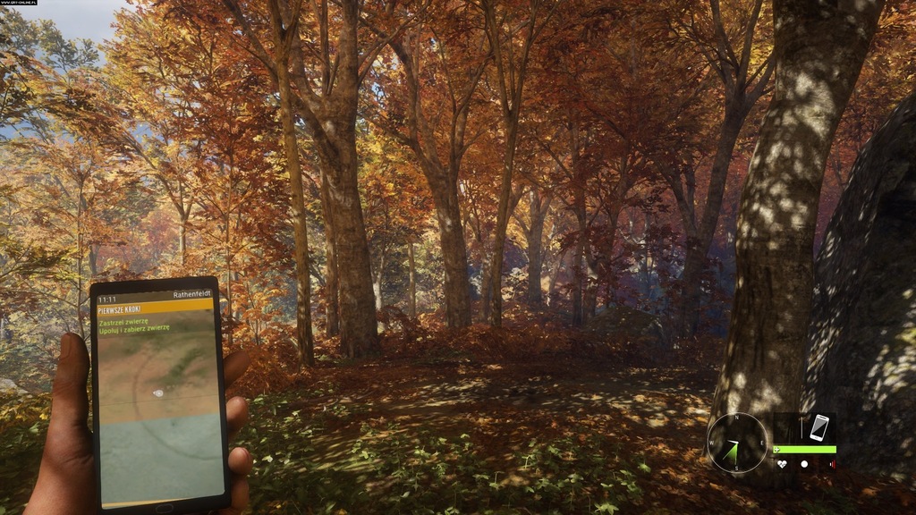 THE HUNTER CALL OF THE WILD NOWA PC BOX PŁYTA PL 7225928608