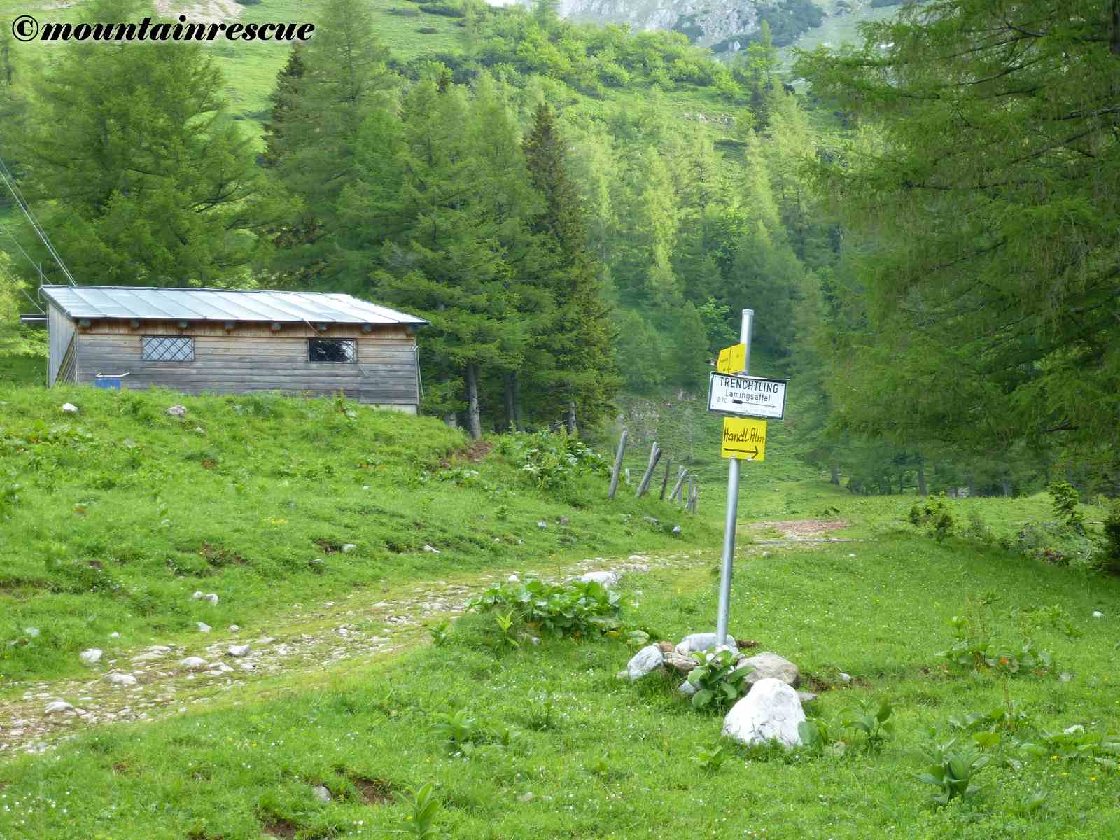 Hochturm 2081m Über blühende Wiesenmatten auf den Gipfel!