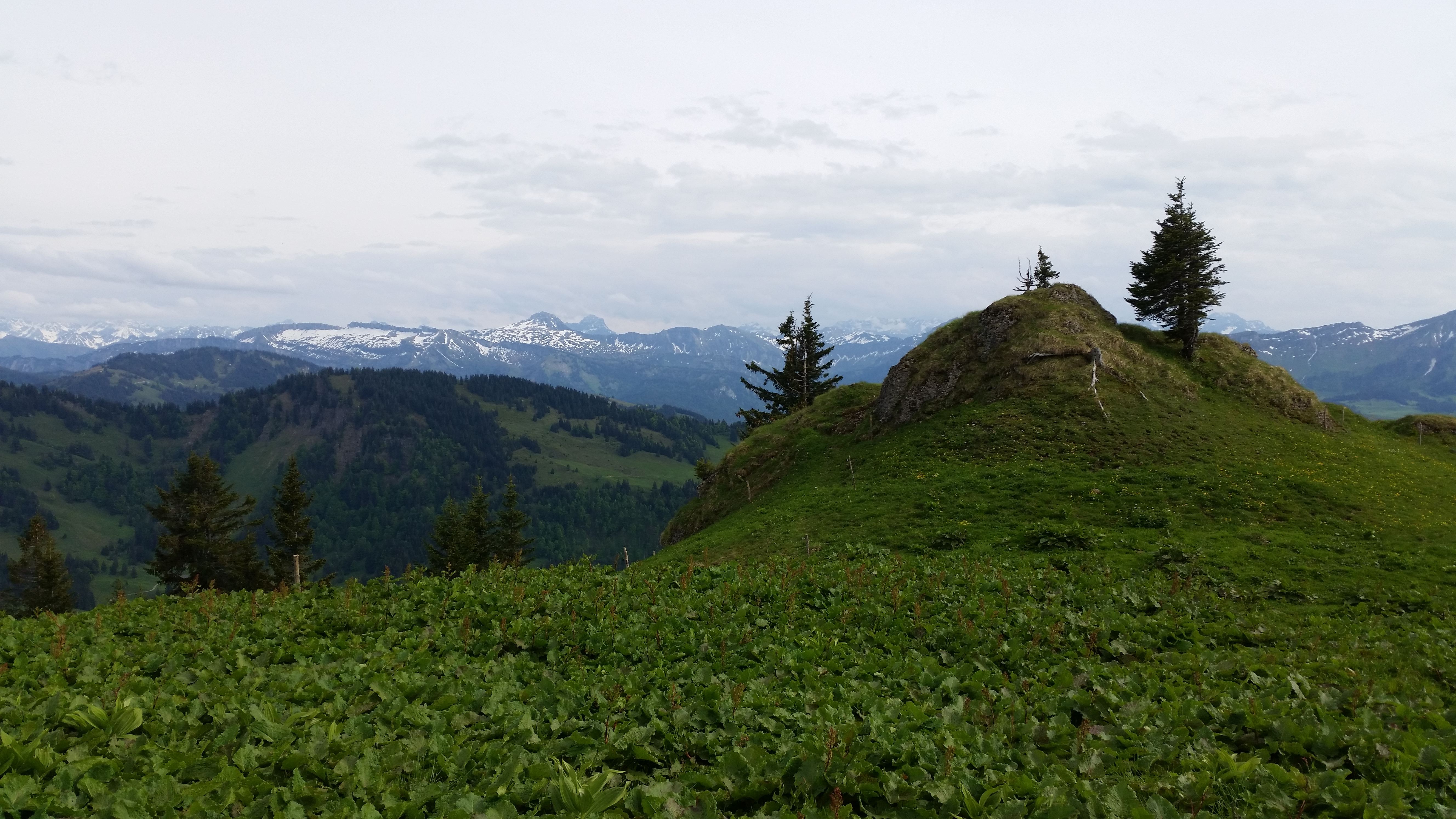 der höchste Punkt liegt etwas daneben - Fotos [hikr.org]