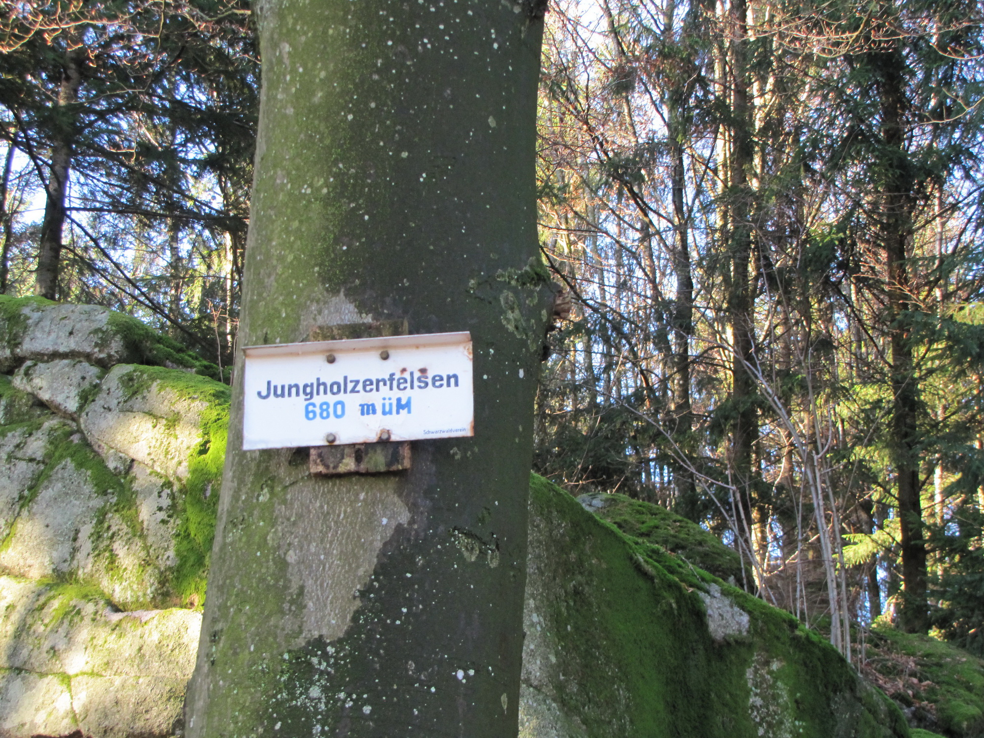 Von Wehr nach Bad Säckingen Fotos