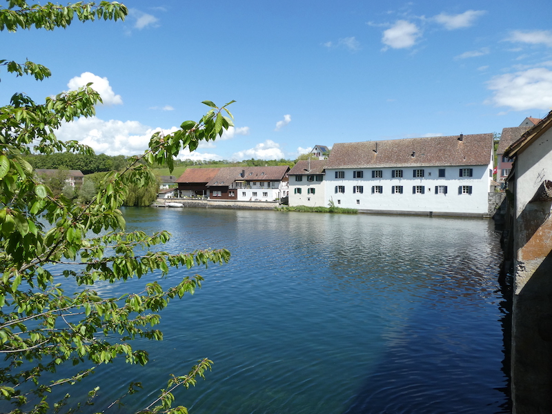 an der Zollbrücke von Rheinau Fotos